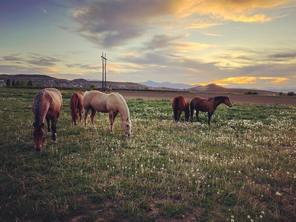 Santaquin photo contest highlights the best of the city News, Sports